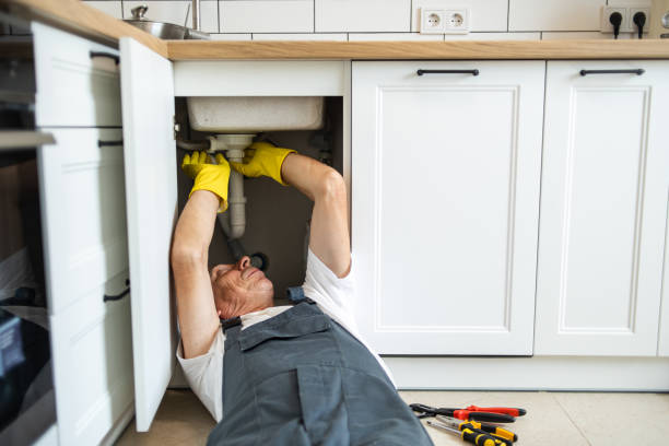 Best Affordable Plumbing Services  in Holly Hill, FL