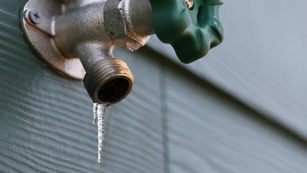 Best Pipe Repair Near Me  in Holly Hill, FL
